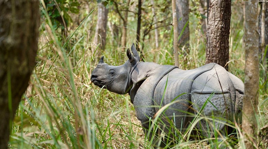 Chitwan National Park